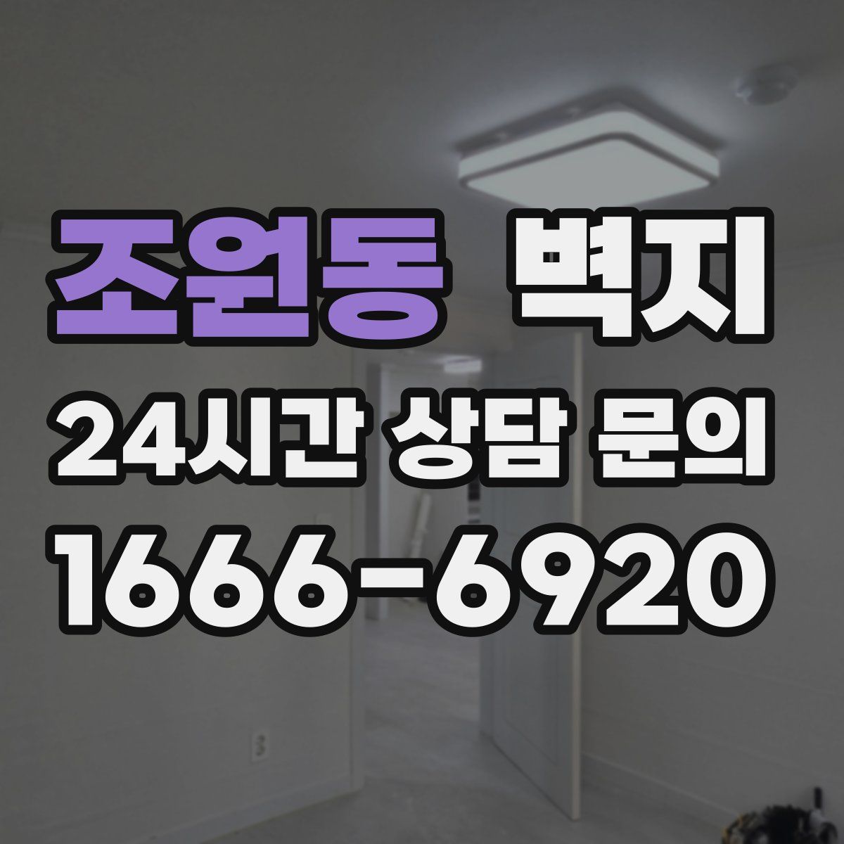 조원동 벽지