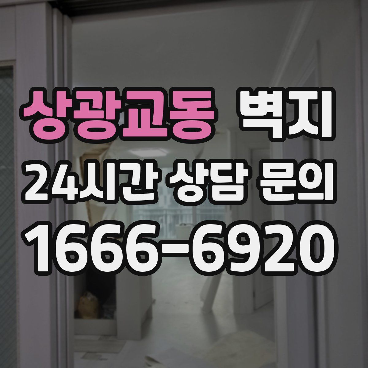 상광교동 벽지