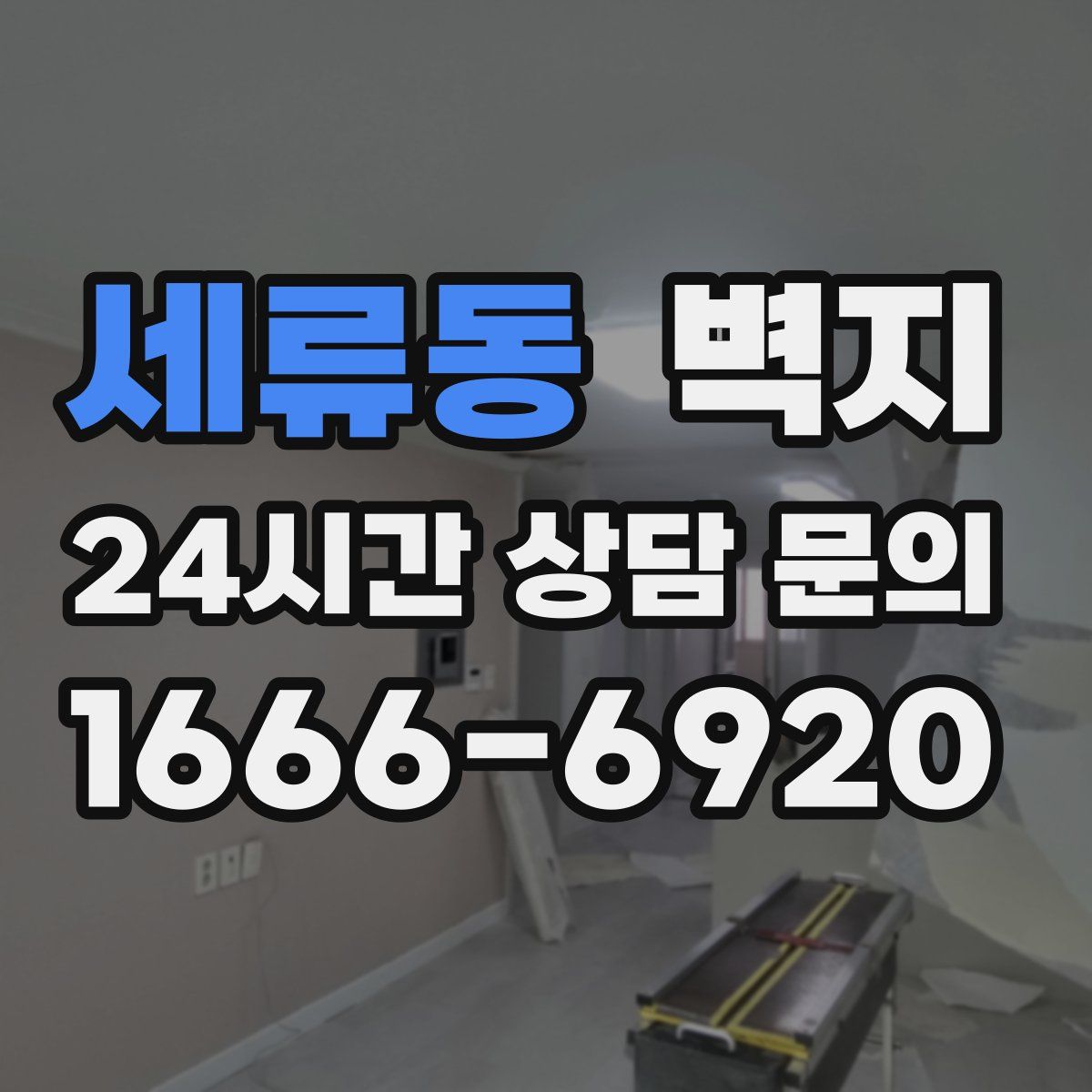 세류동 벽지