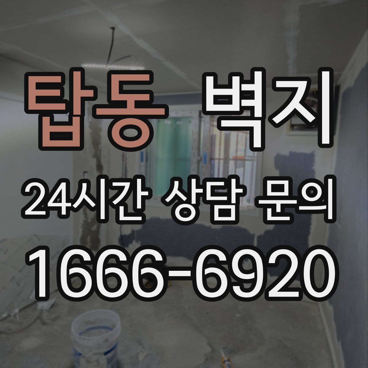 탑동 벽지