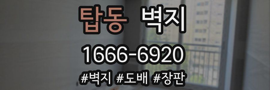 탑동 벽지