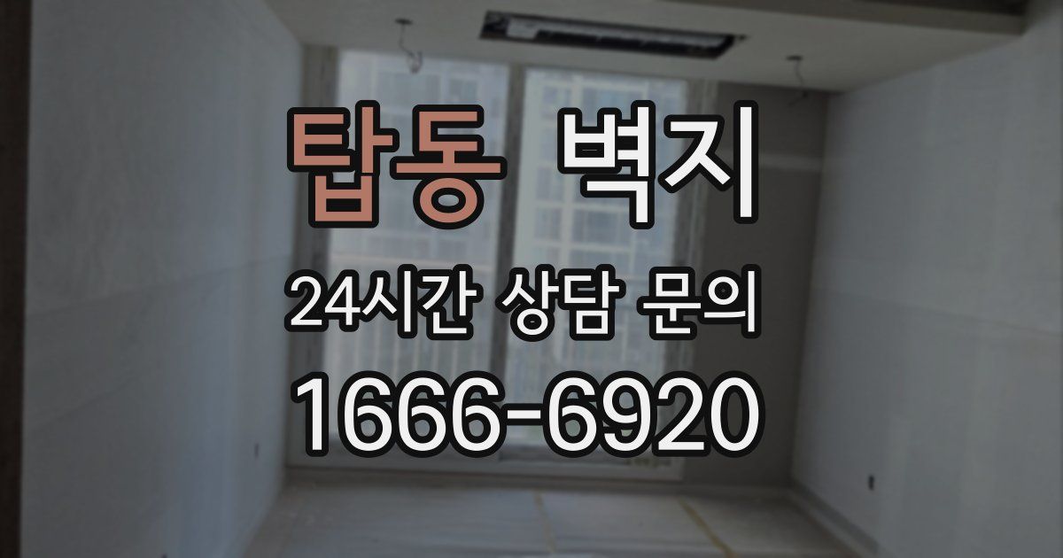 탑동 벽지
