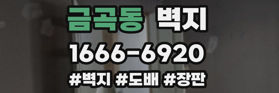 금곡동 벽지