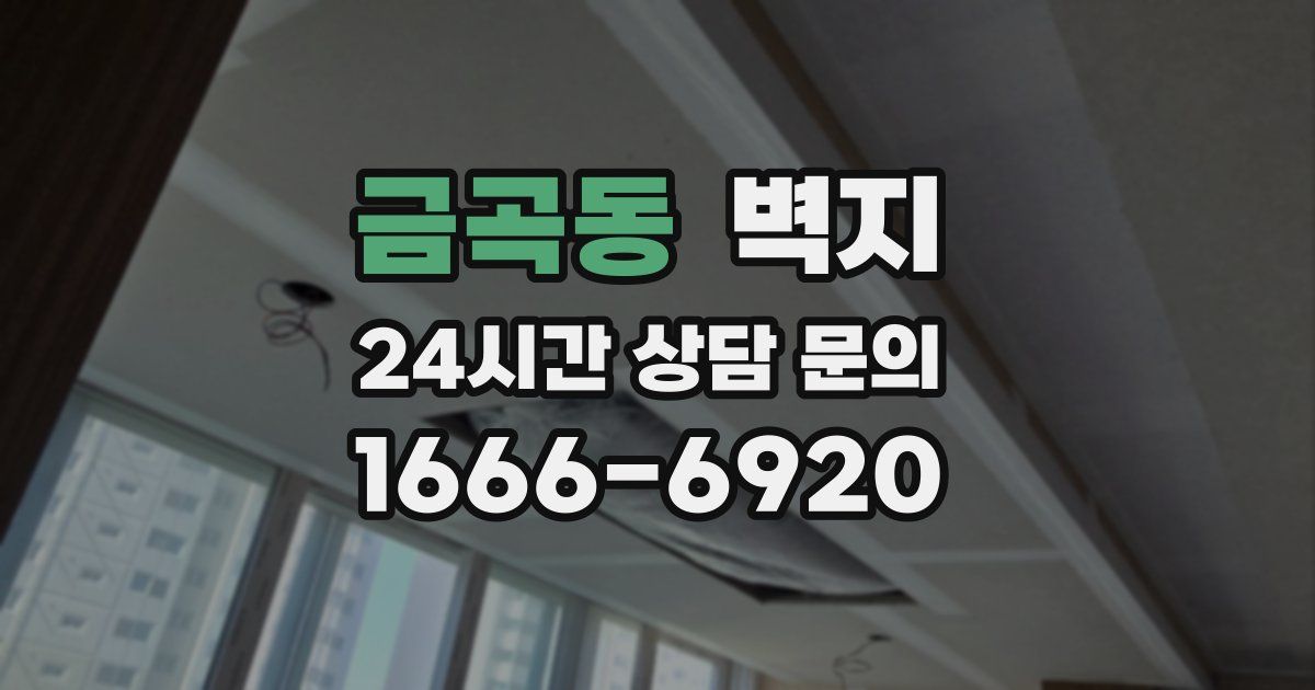 금곡동 벽지