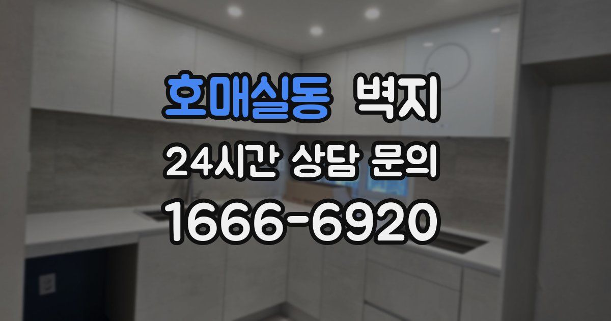 호매실동 벽지