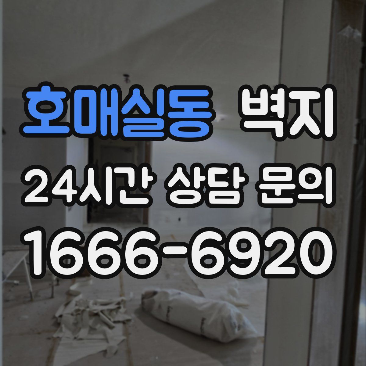 호매실동 벽지