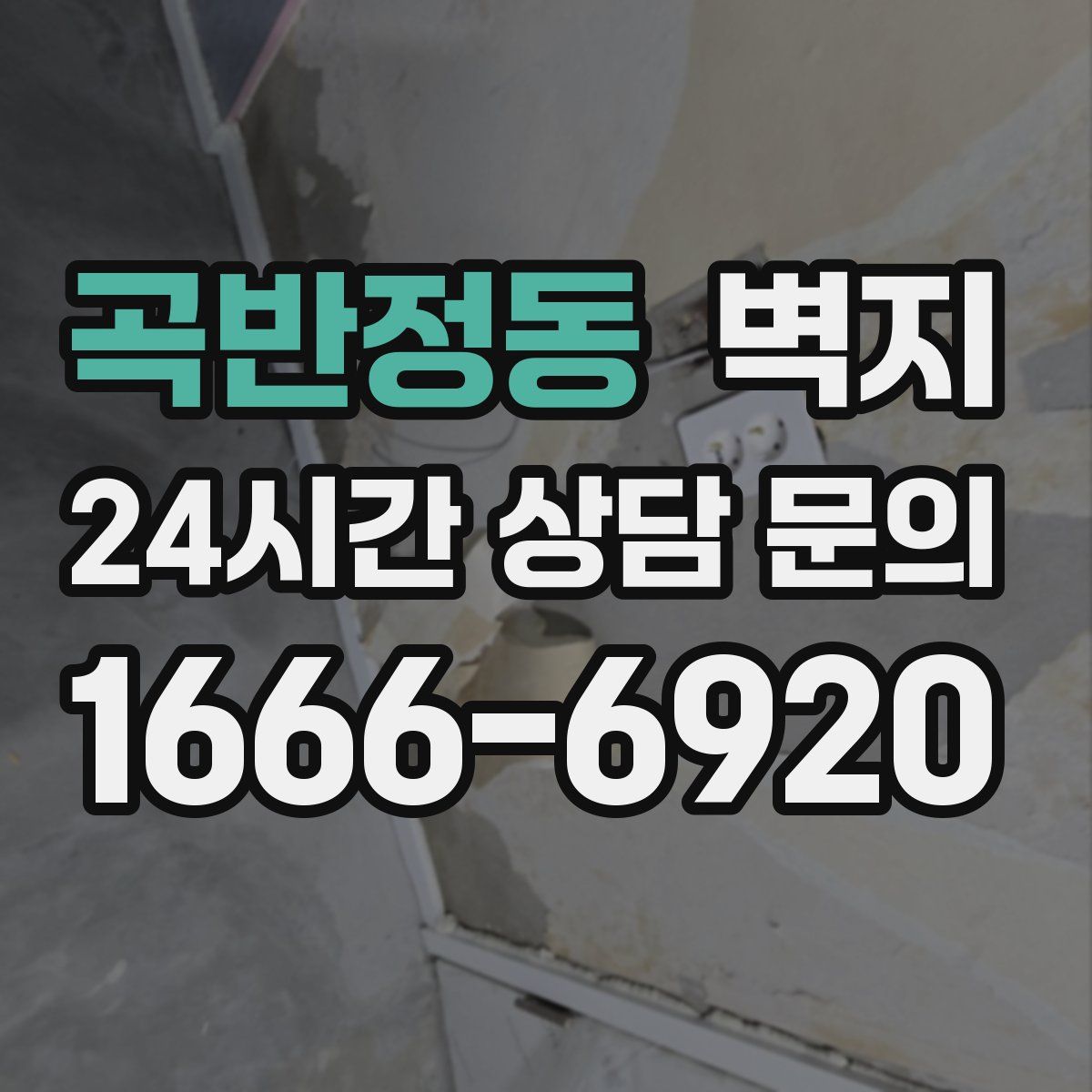 곡반정동 벽지