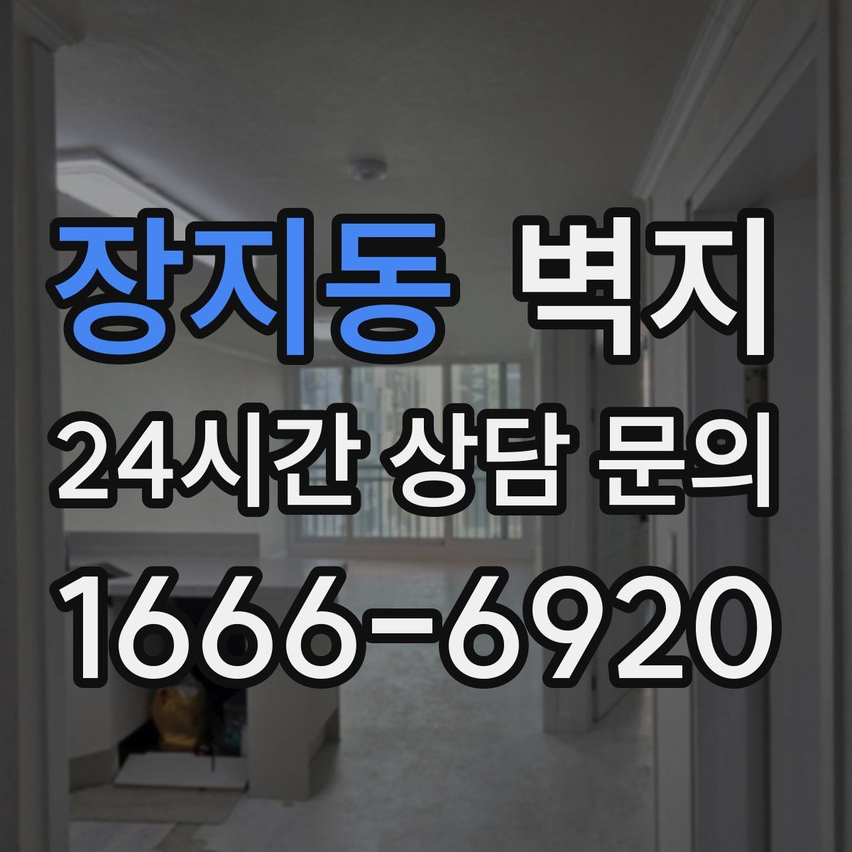장지동 벽지