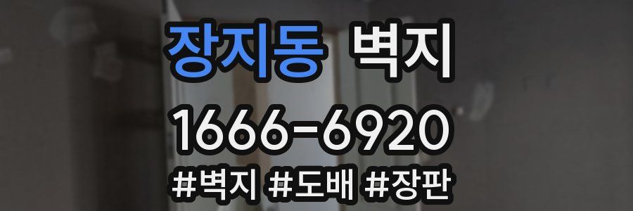 장지동 벽지