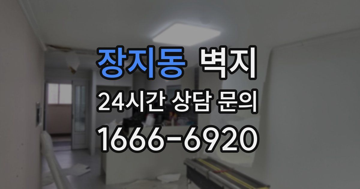 장지동 벽지