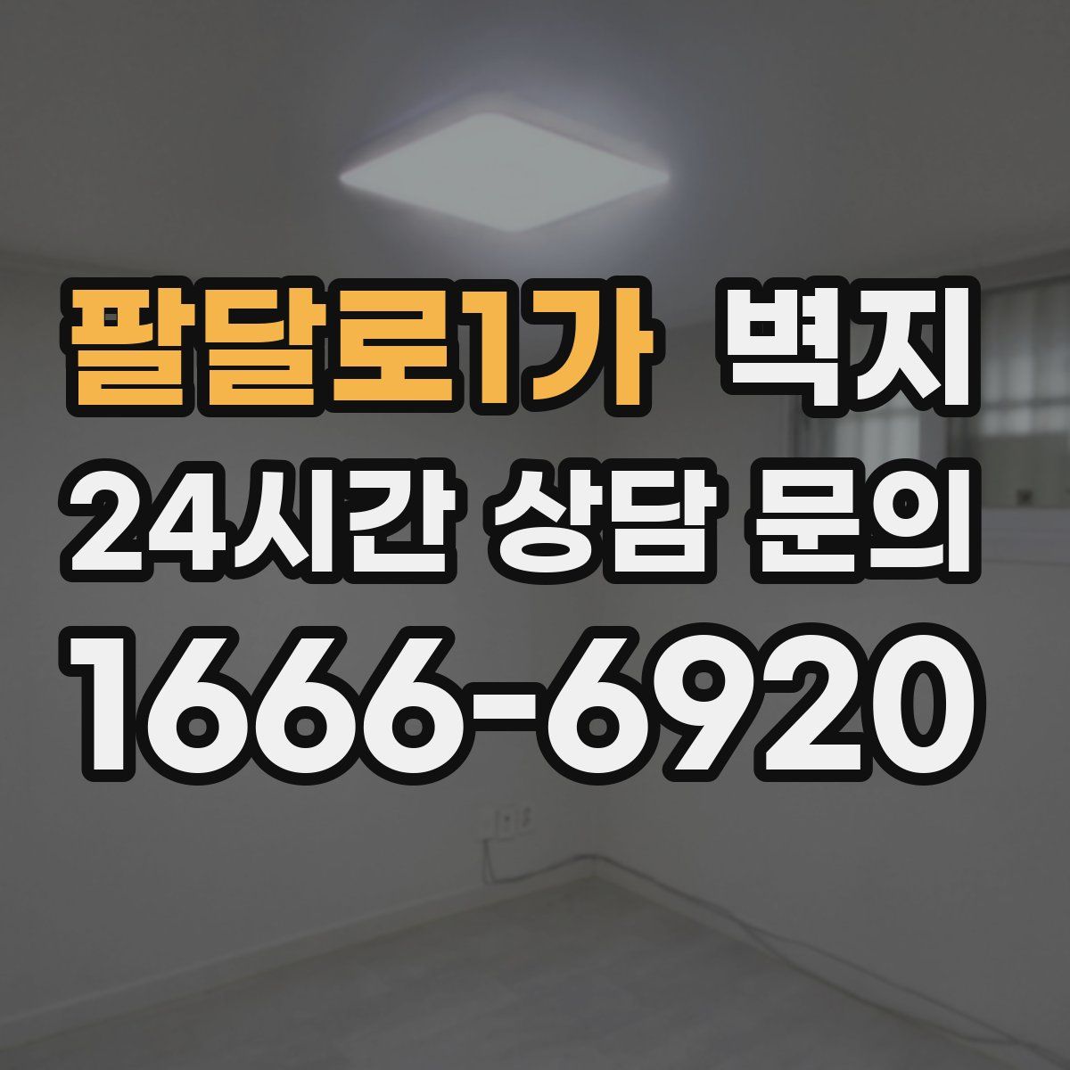 팔달로1가 벽지