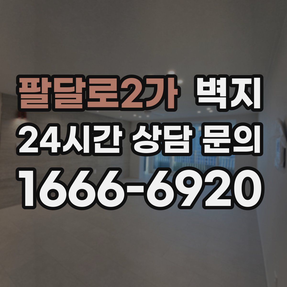 팔달로2가 벽지