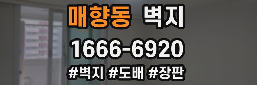 매향동 벽지
