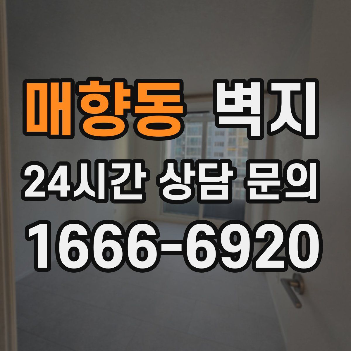 매향동 벽지