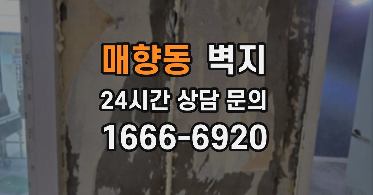 매향동 벽지