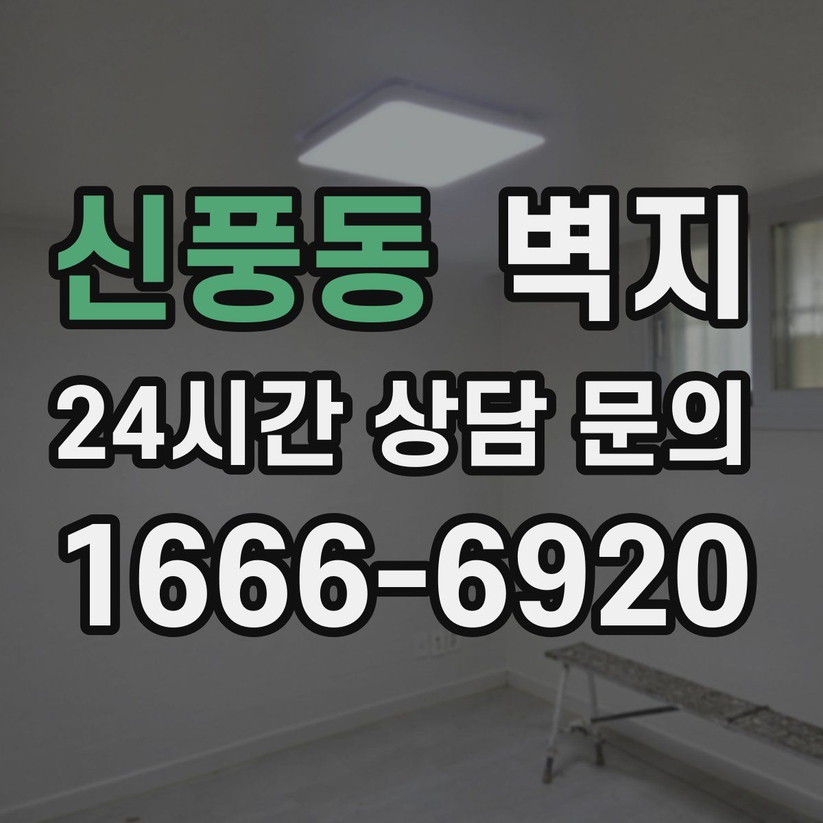 신풍동 벽지