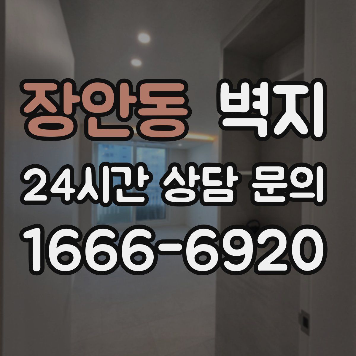 장안동 벽지