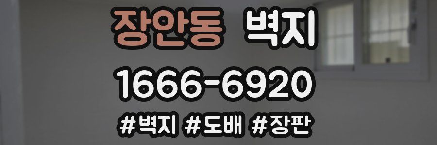 장안동 벽지