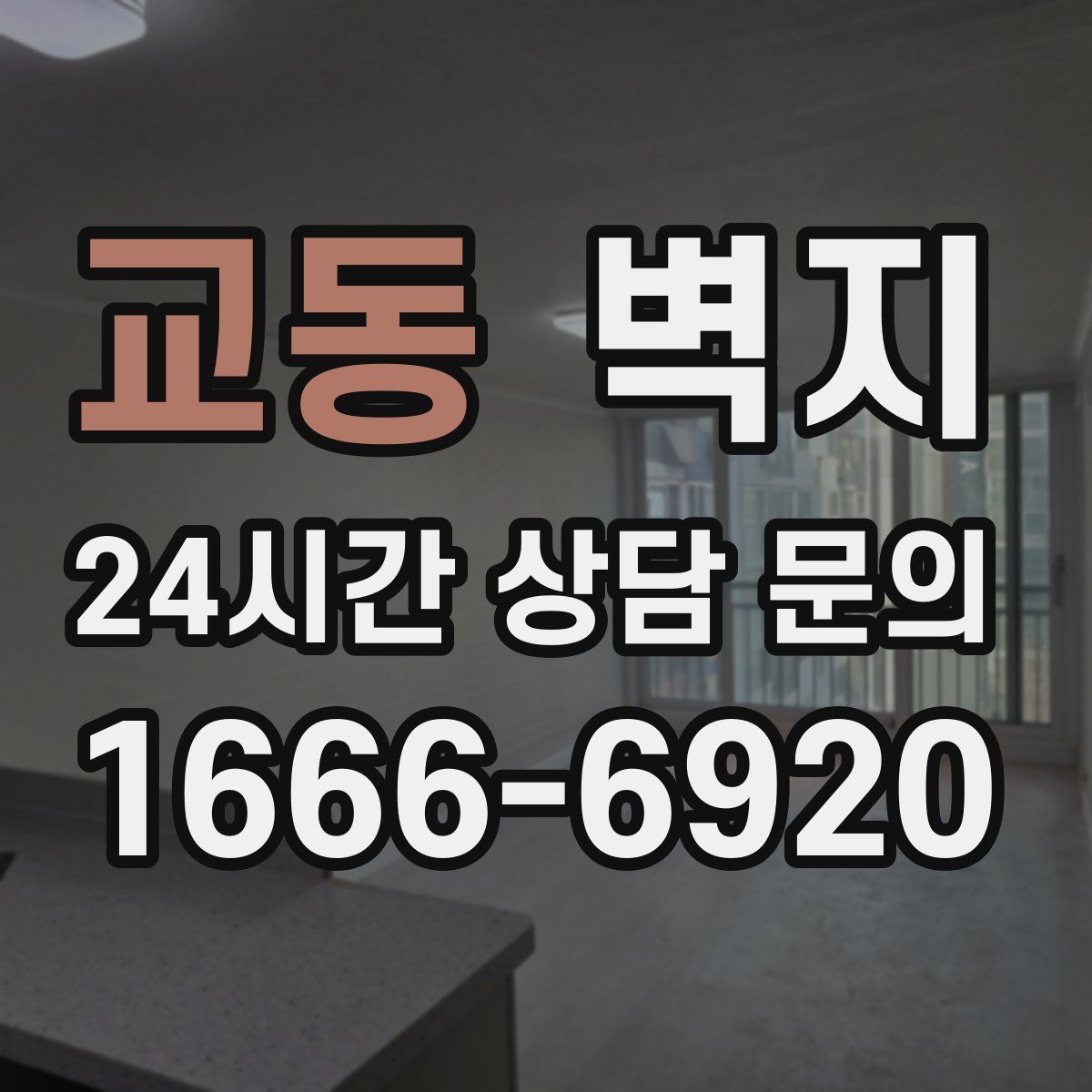 교동 벽지