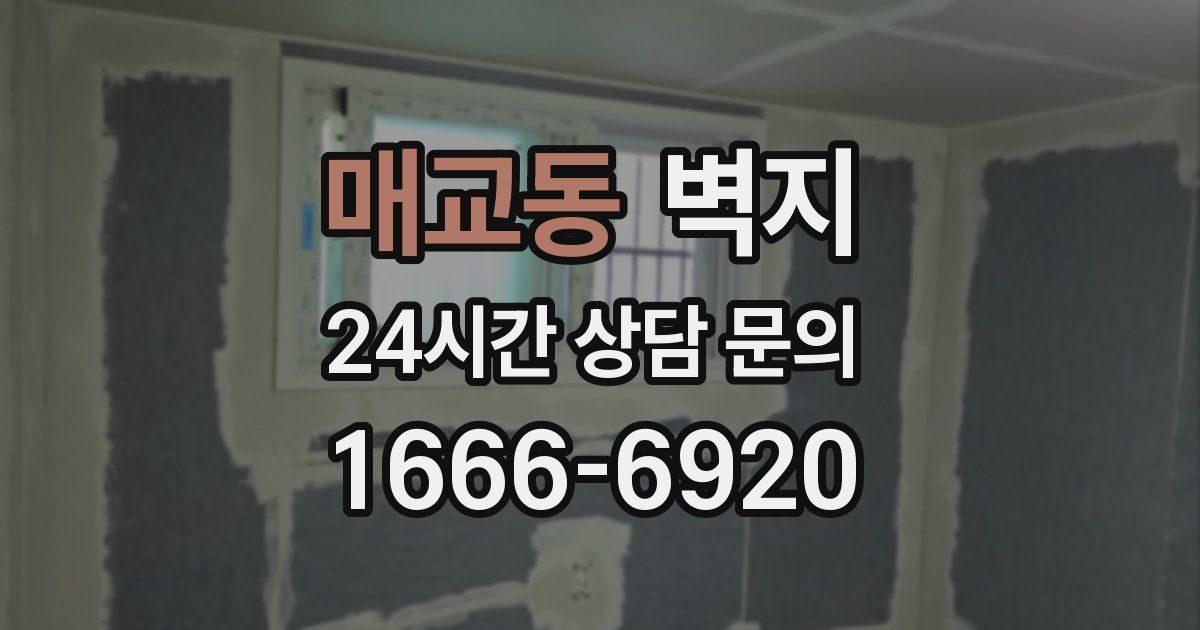 매교동 벽지
