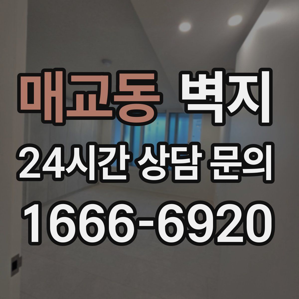 매교동 벽지