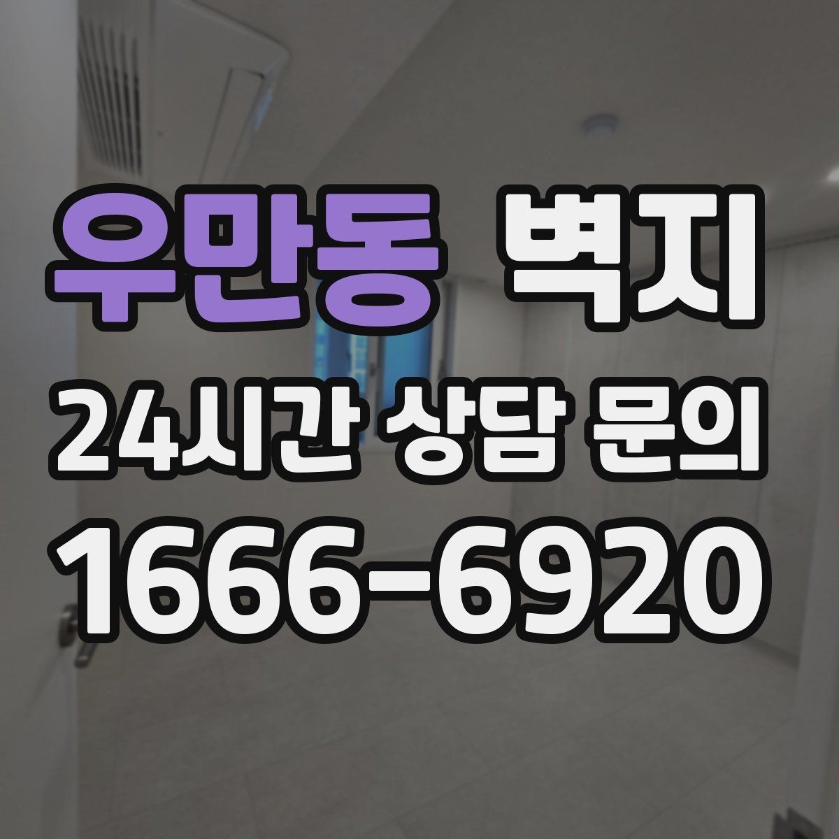 우만동 벽지 가격 차이가 나는 이유 정리