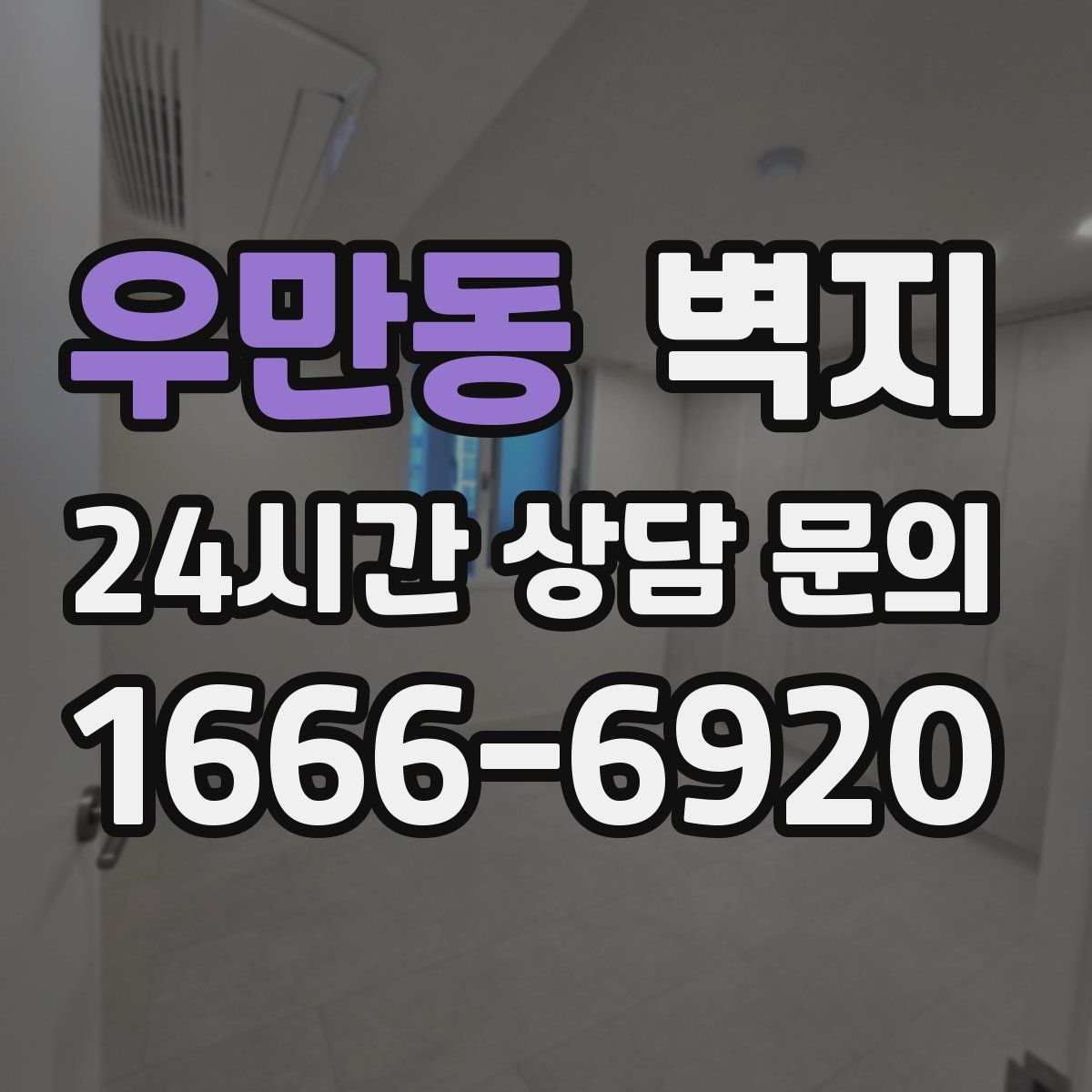 우만동 벽지