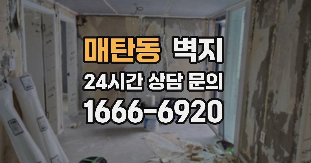 매탄동 벽지