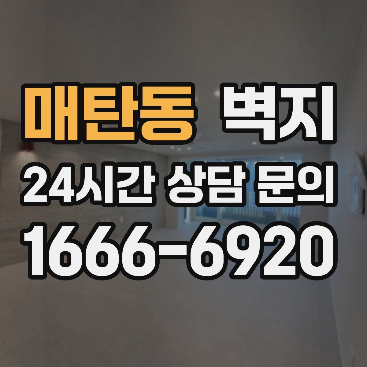 매탄동 벽지