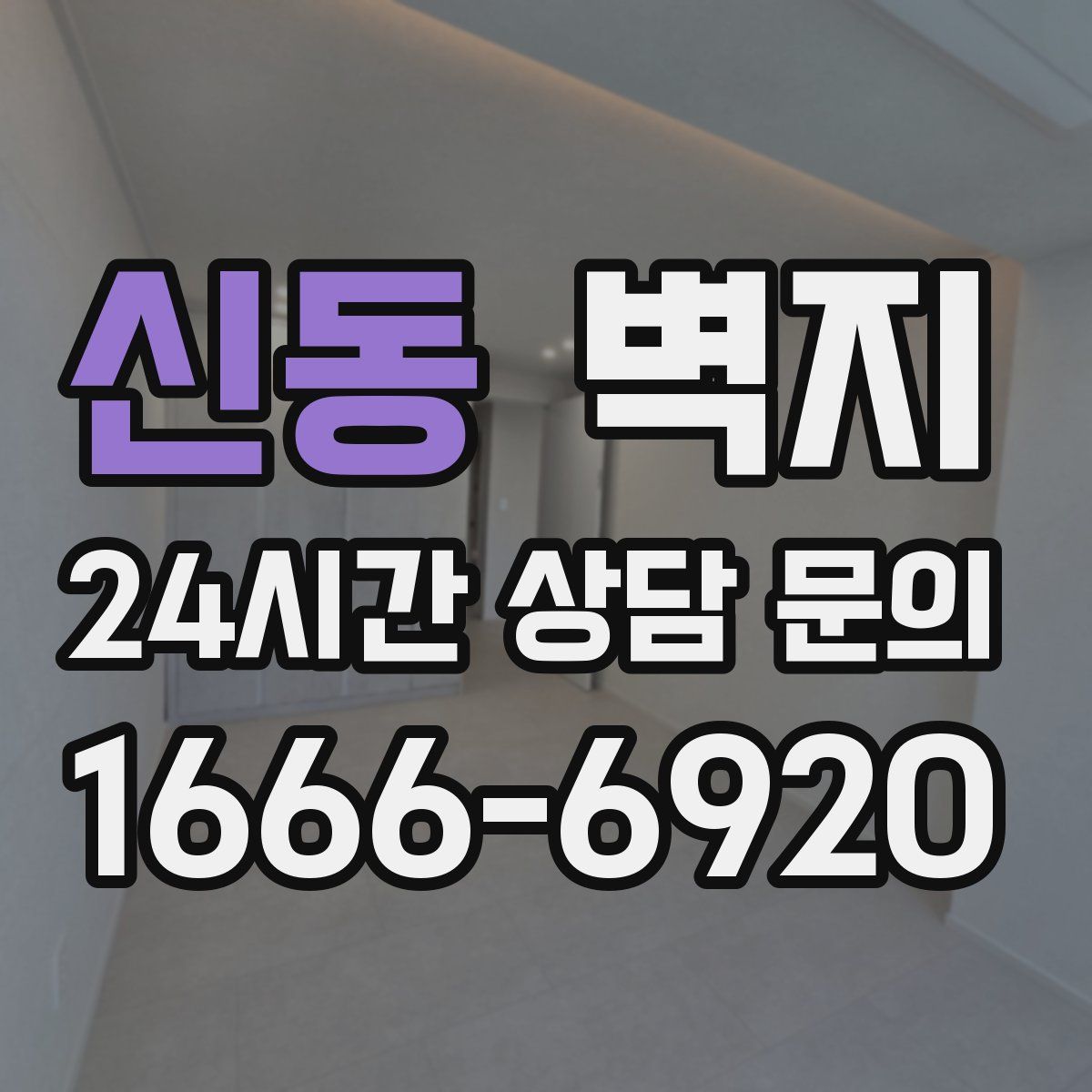 신동 벽지
