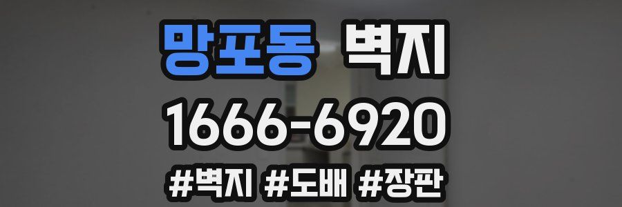 망포동 벽지