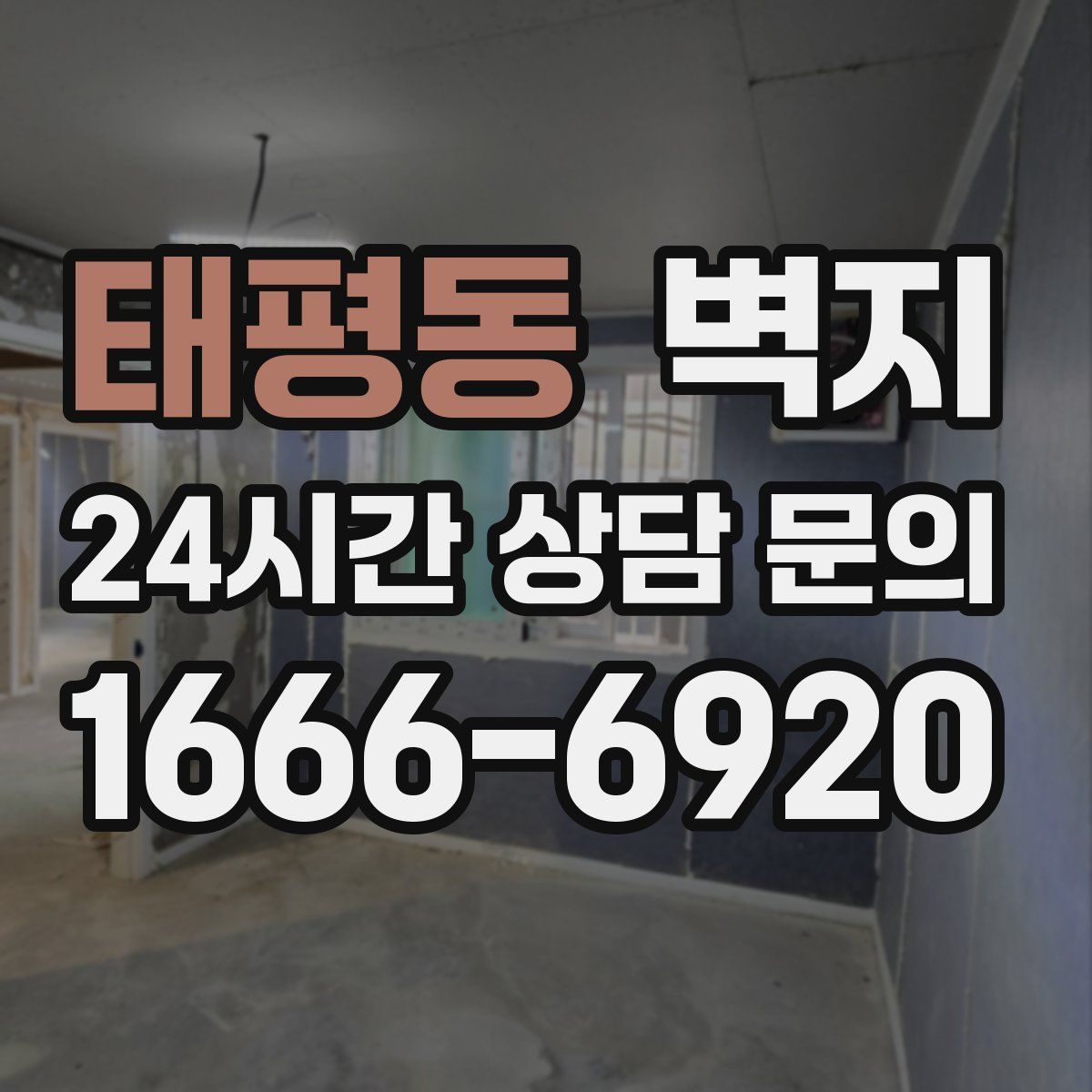 태평동 벽지