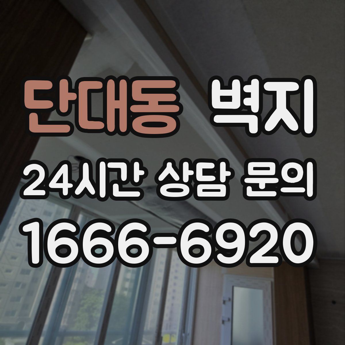 단대동 벽지