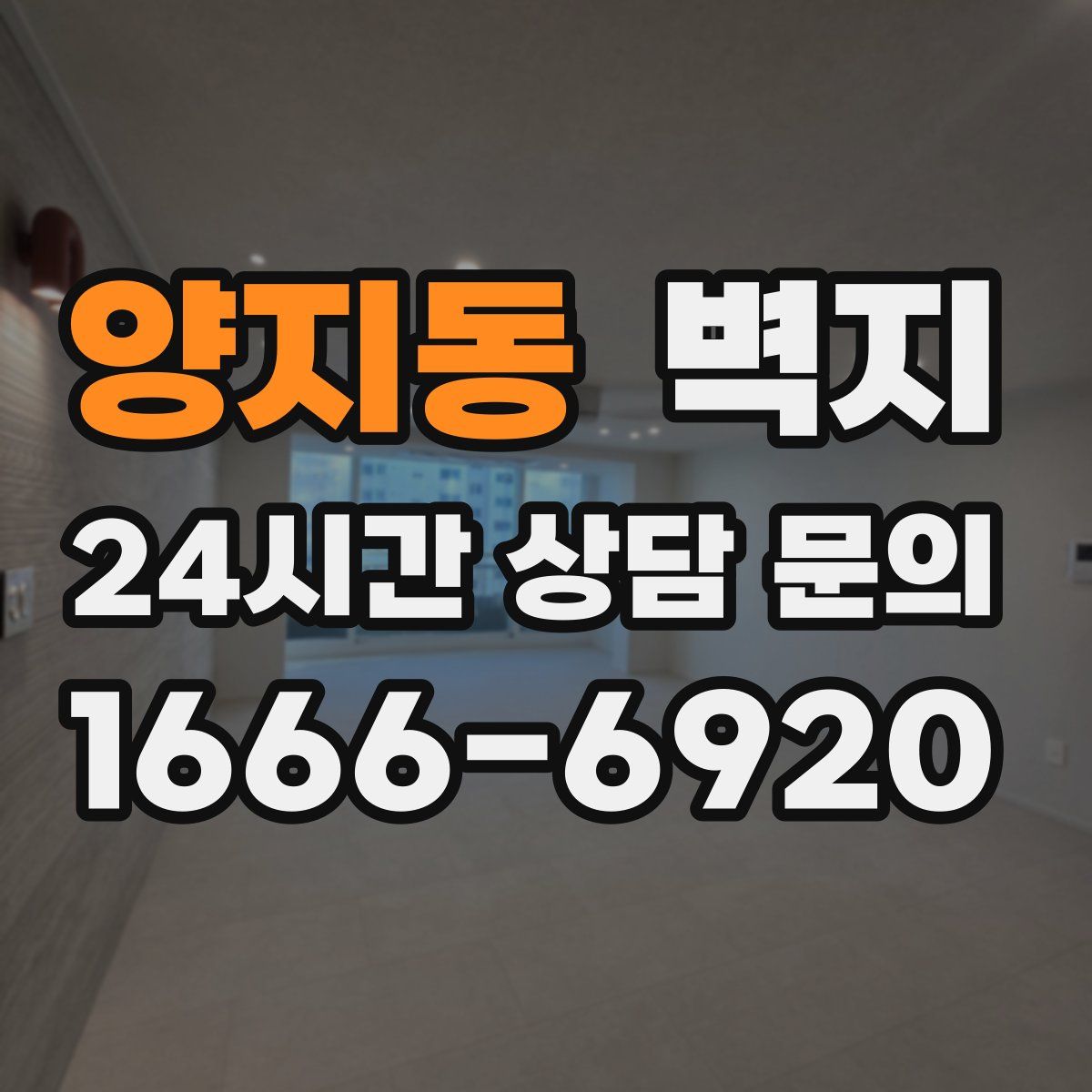 양지동 벽지