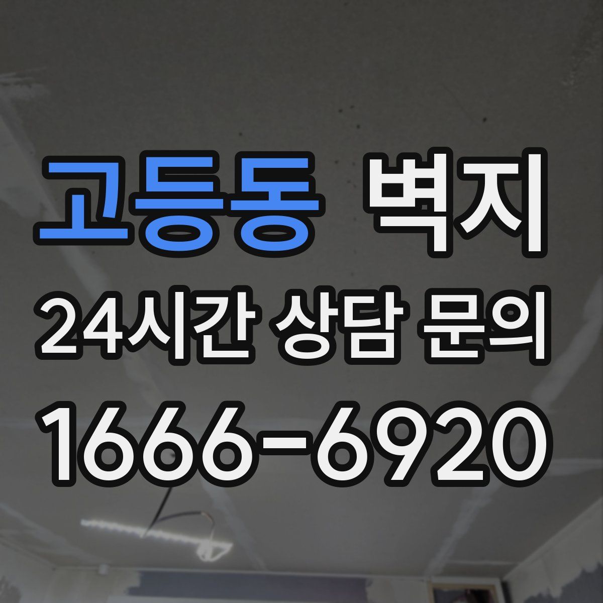 고등동 벽지