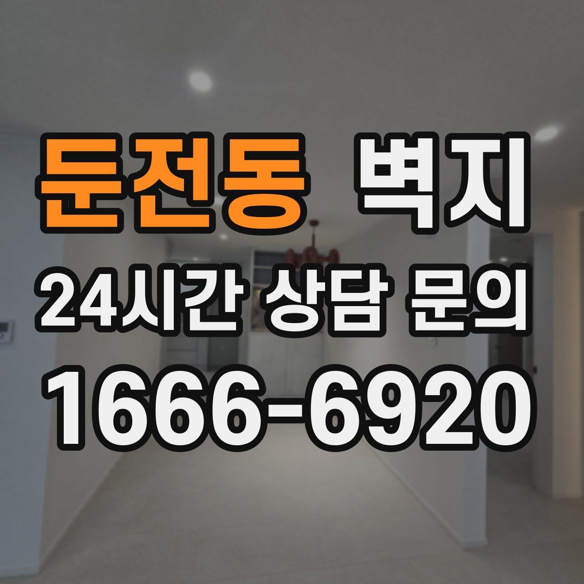 둔전동 벽지