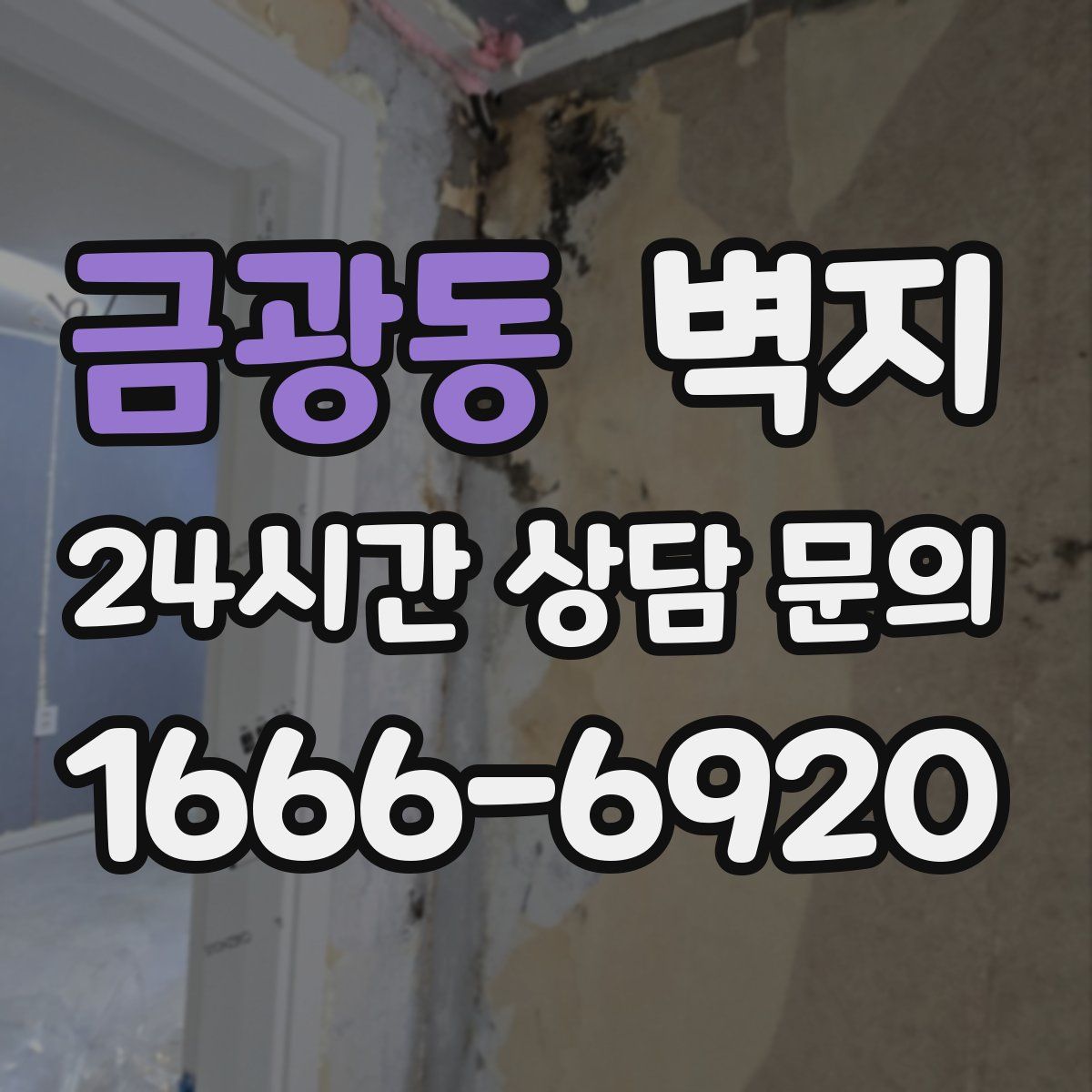 금광동 벽지