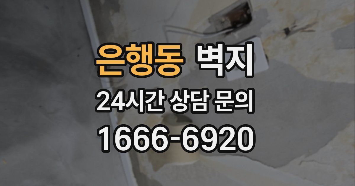 은행동 벽지
