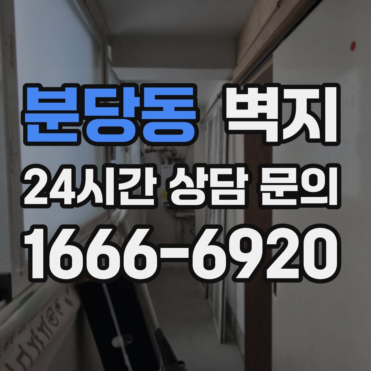분당동 벽지
