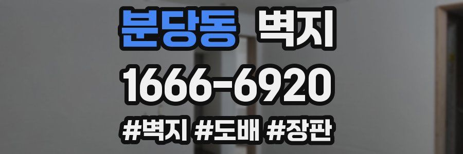분당동 벽지