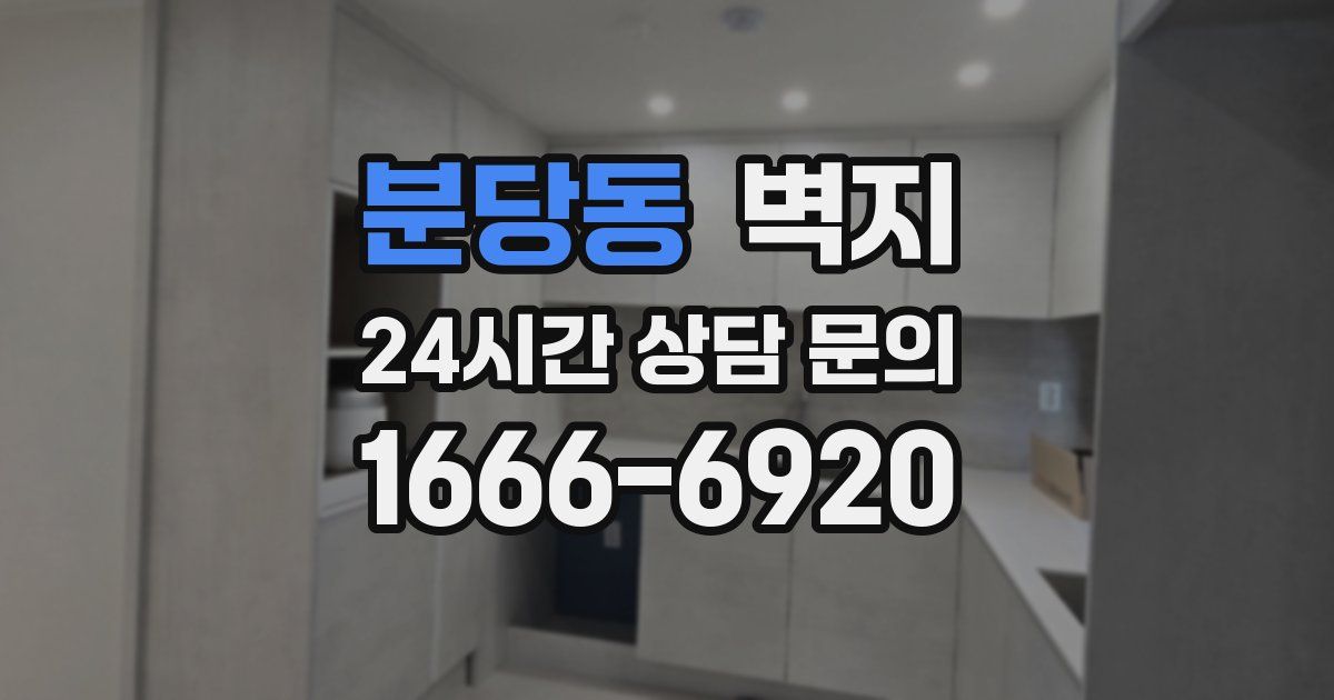 분당동 벽지