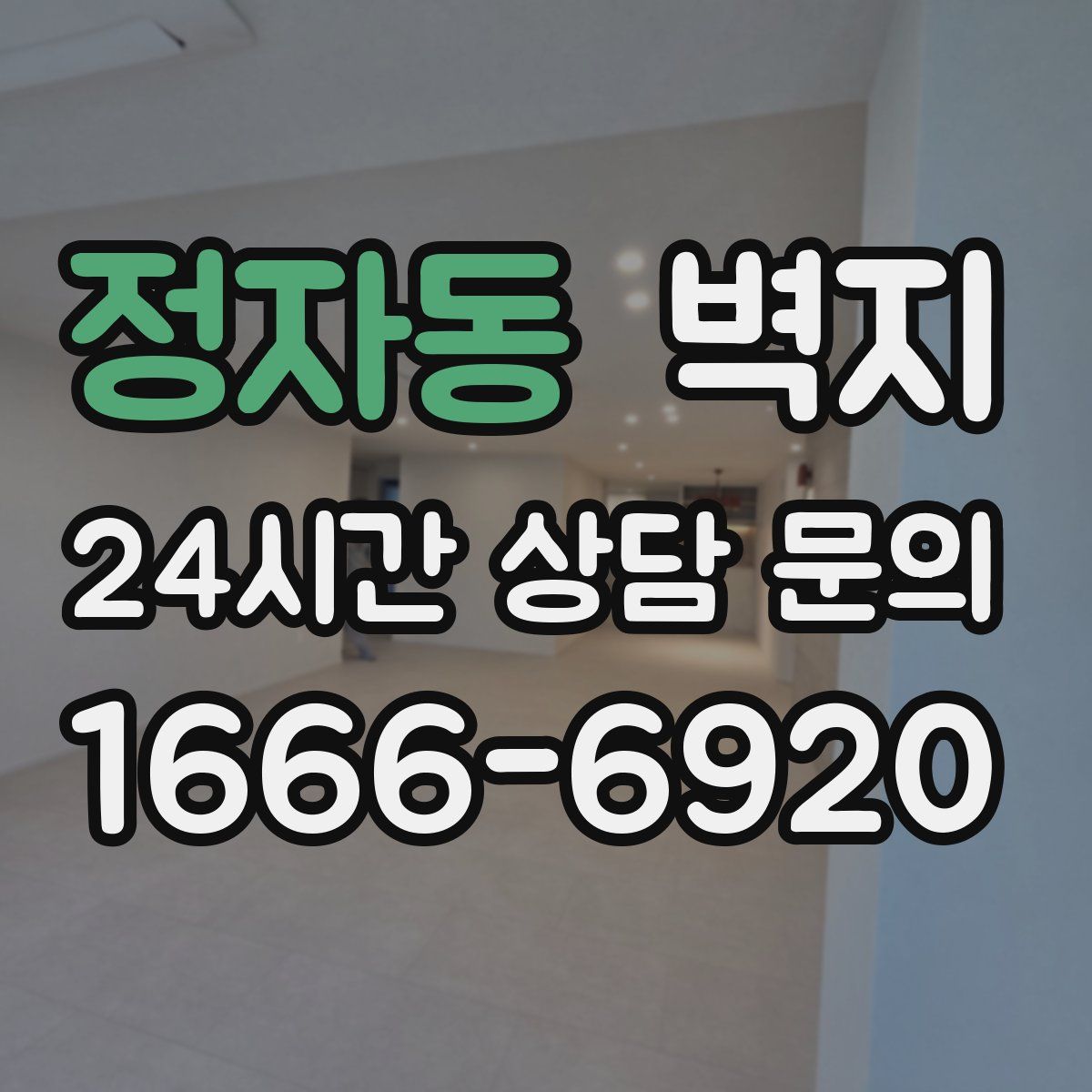 정자동 벽지