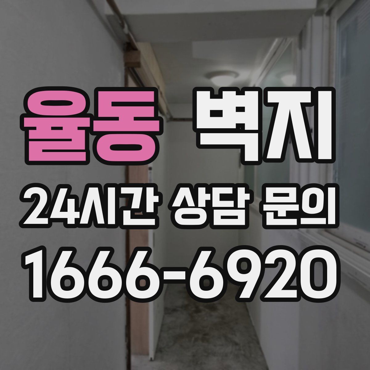 율동 벽지