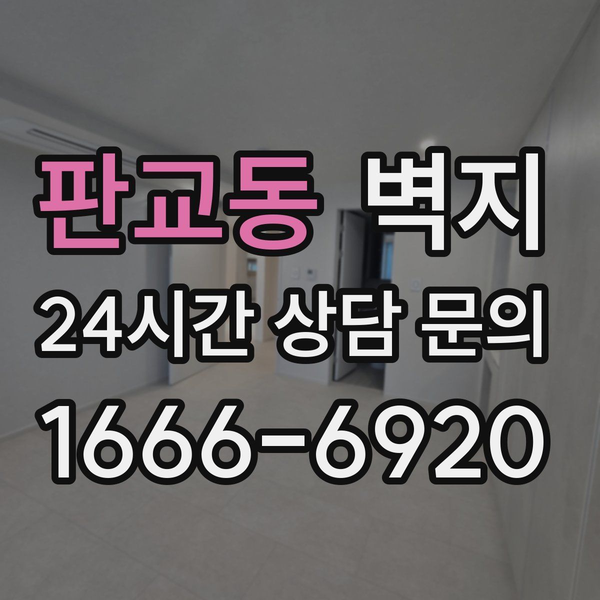 판교동 벽지