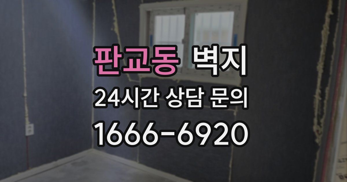 판교동 벽지