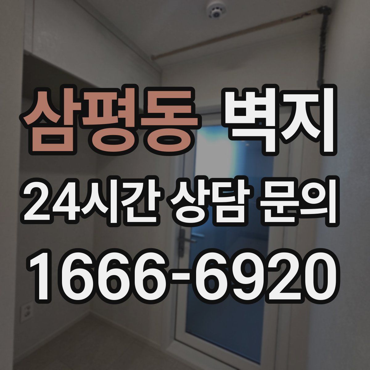 삼평동 벽지