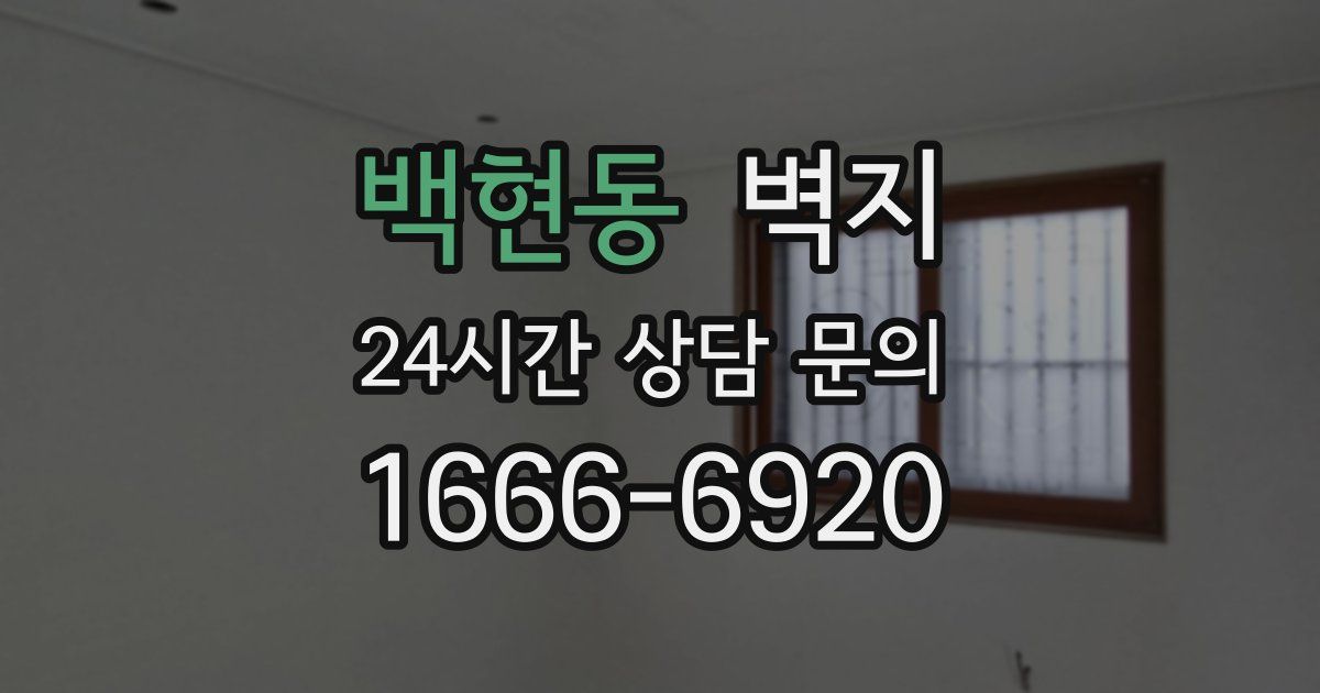 백현동 벽지