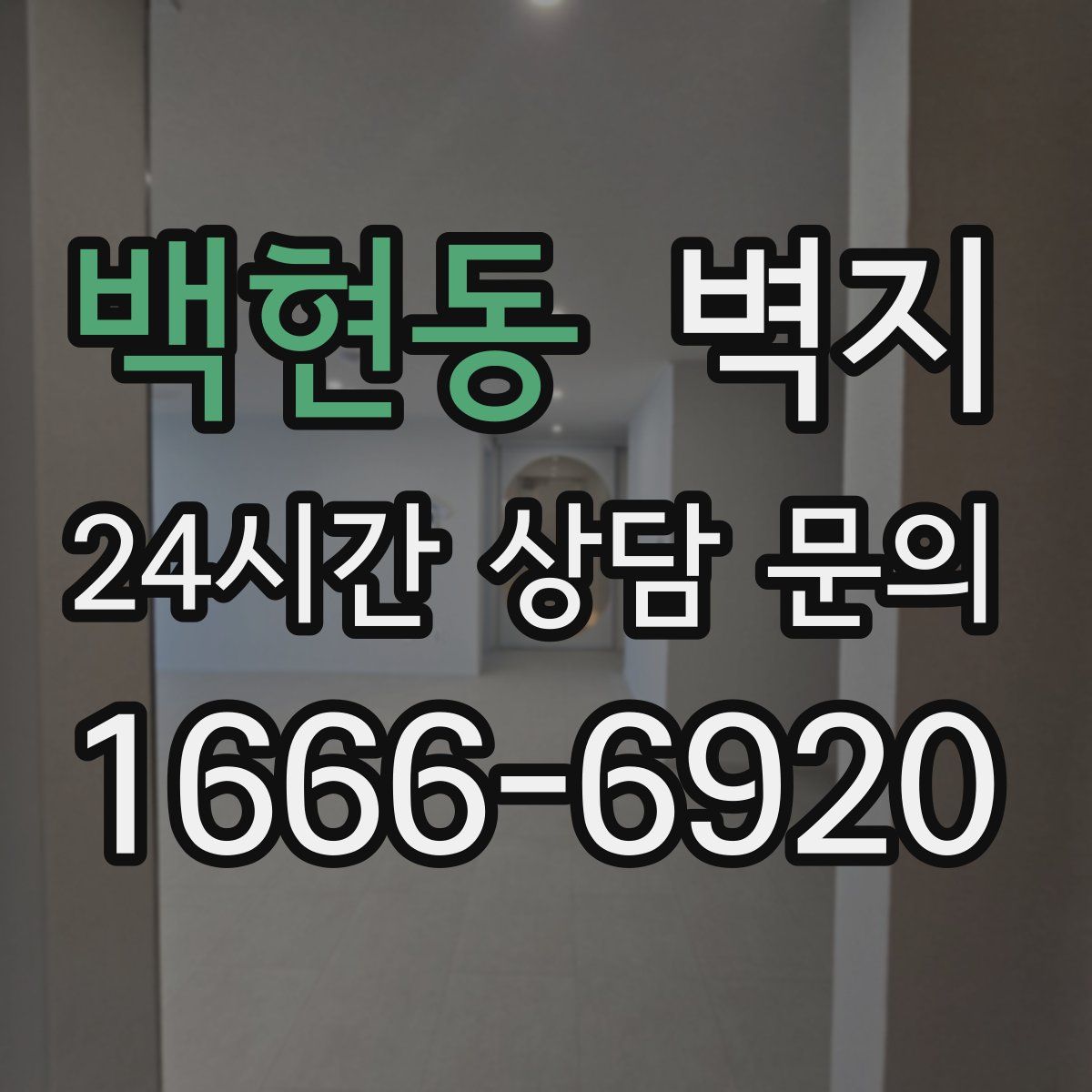 백현동 벽지