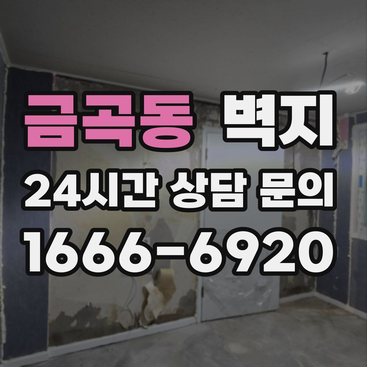 금곡동 벽지