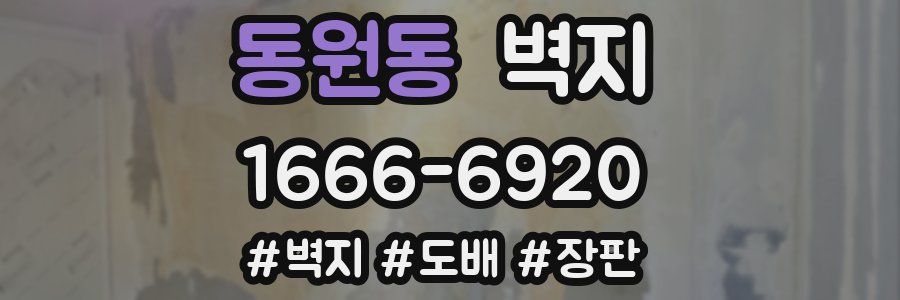 동원동 벽지
